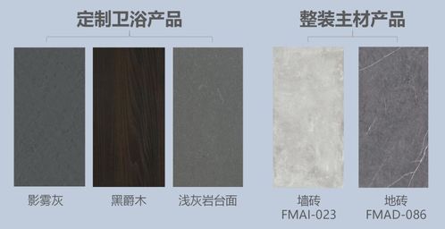 化妆间 熨衣间还是洗衣间 ta重新定义高效全能卫浴