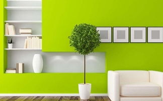 想要环保装修 谨记这6条