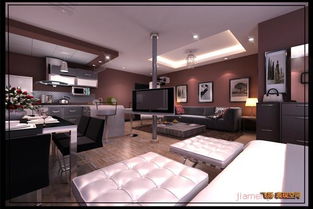 飞扬装饰装潢产品 产品图片 加盟店怎么样